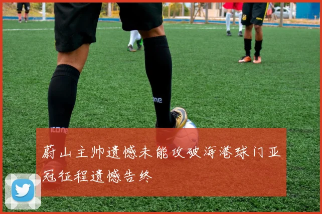 蔚山主帅遗憾未能攻破海港球门亚冠征程遗憾告终