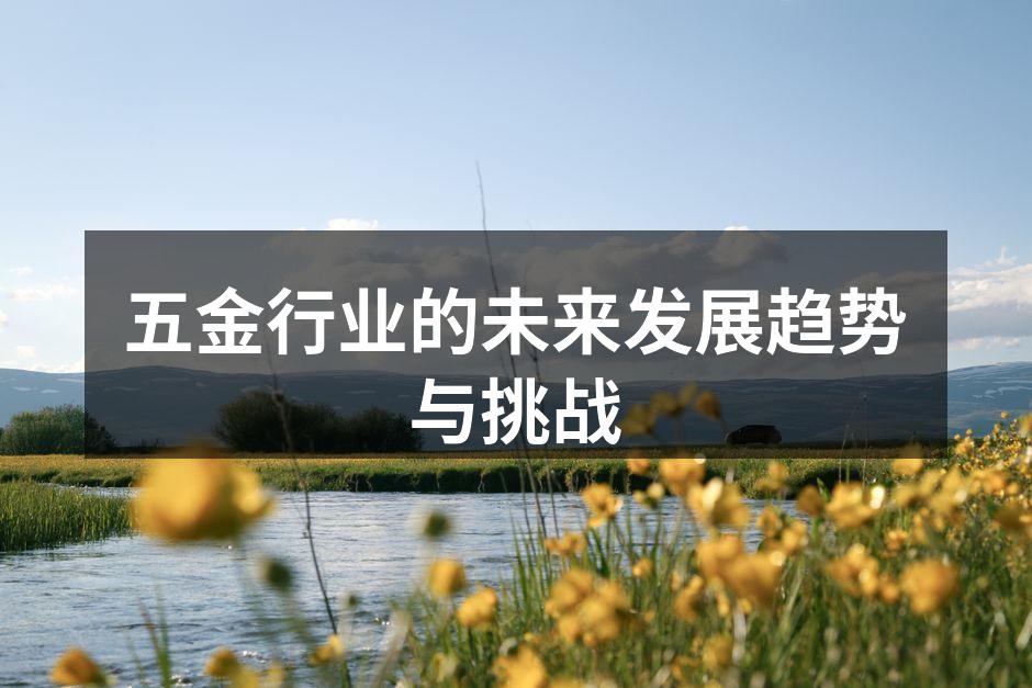 五金行业的未来发展趋势与挑战